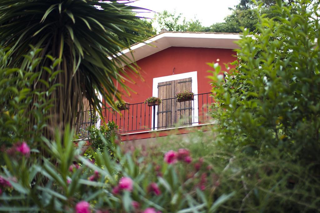 B&B Il Giardino Delle Camelie Palestrina Bagian luar foto
