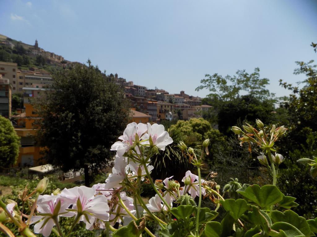 B&B Il Giardino Delle Camelie Palestrina Bagian luar foto