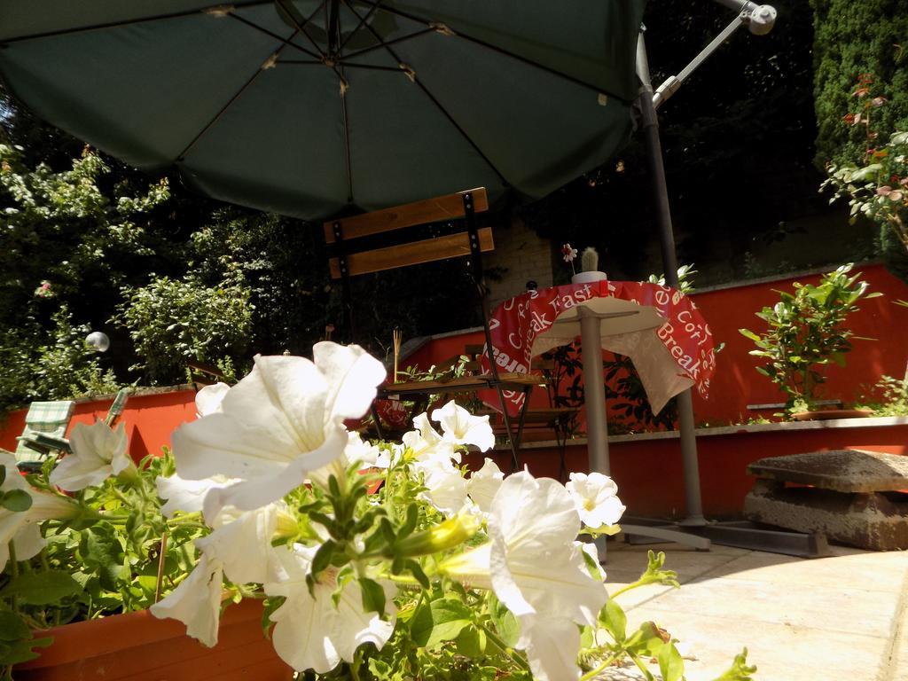 B&B Il Giardino Delle Camelie Palestrina Bagian luar foto