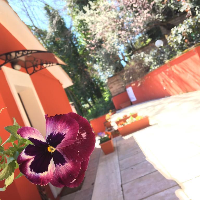 B&B Il Giardino Delle Camelie Palestrina Bagian luar foto