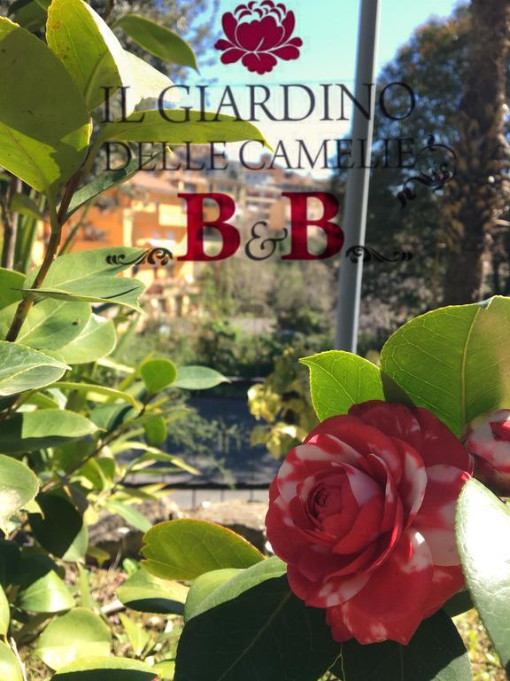 B&B Il Giardino Delle Camelie Palestrina Bagian luar foto