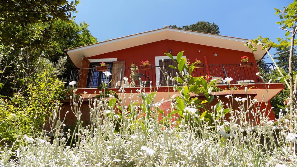 B&B Il Giardino Delle Camelie Palestrina Bagian luar foto