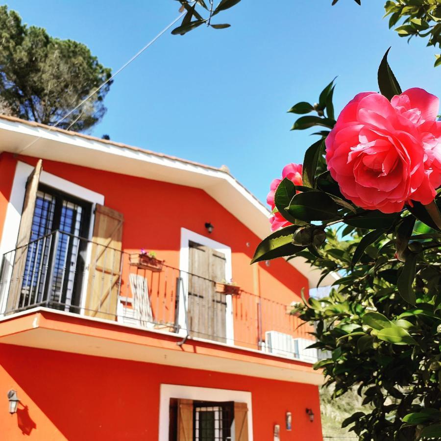 B&B Il Giardino Delle Camelie Palestrina Bagian luar foto